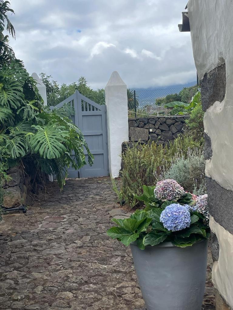 Pensjonat Casas La Principal San Pedro  Zewnętrze zdjęcie